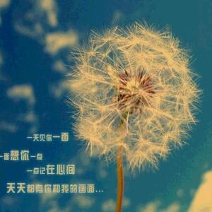 幸福那一刻