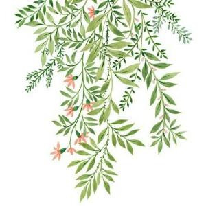 勤劳的小可爱