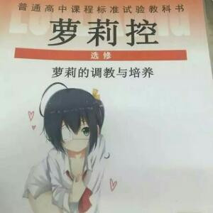 鲁磊