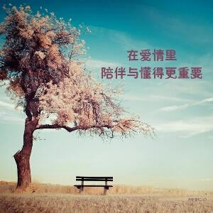 倾一颗