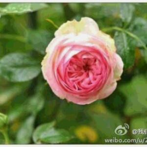 不爱了