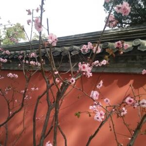 涟漪