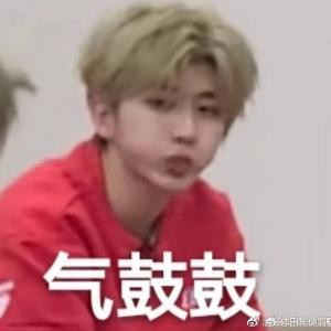 多多大人