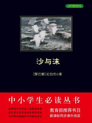 沙与沫（中小学生必读丛书）