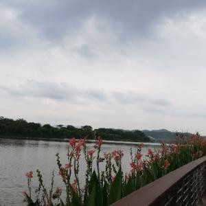 小迷迷