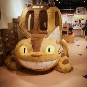 最熟悉的陌生人