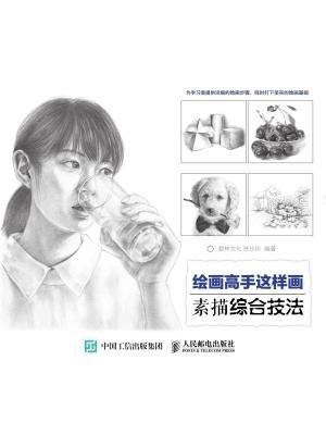 绘画高手这样画——素描综合技法