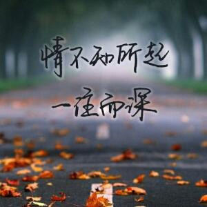 顾情深