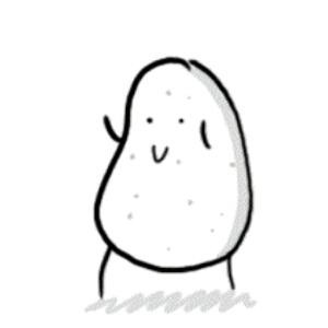 鑫哥