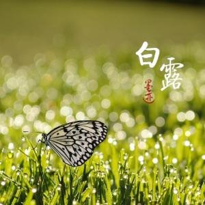 直线与平面