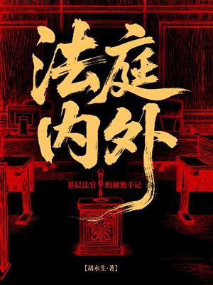 法庭内外：基层法官的秘密手记