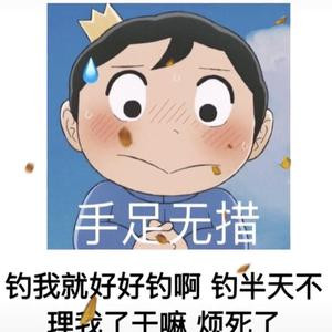 懒惰小书虫