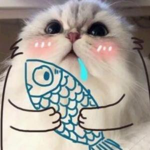 喵喵喵