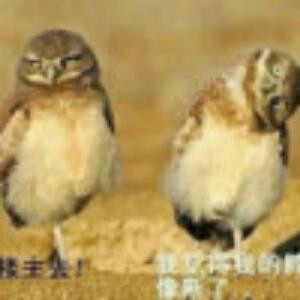 回忆往昔