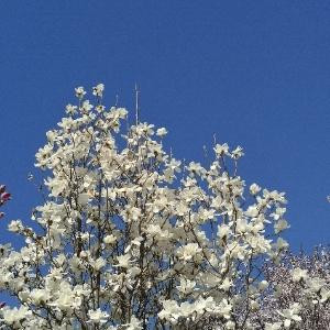 元筱媛是你筱爷