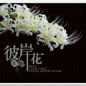 奈何桥