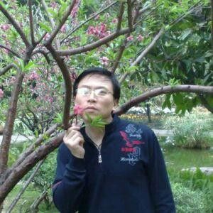 大漠苍狼独行侠