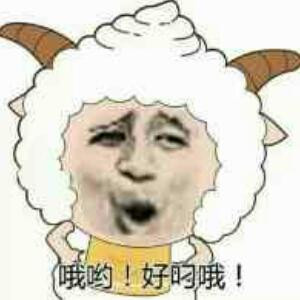呵呵12