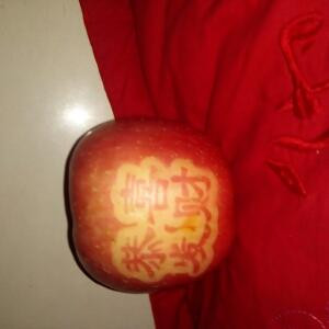 快乐生活