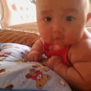 杨杨