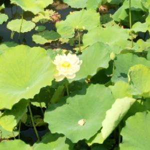 书海中流连忘返