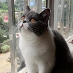 静