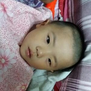 小蝴蝶妈妈