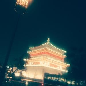 武极风