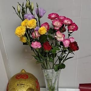 錦上添花