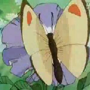 小清