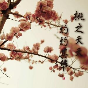 山有木兮卿有意