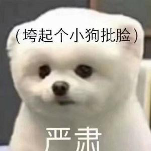 小白