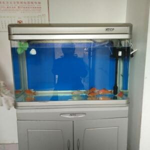 一个读者