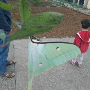 i870909379丽