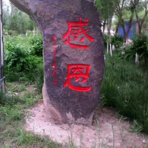 感嗯