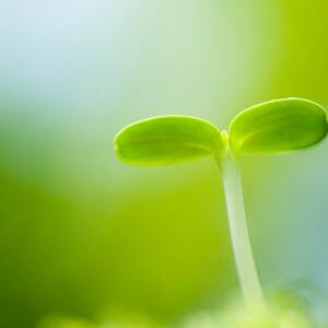 我闺蜜老勾搭我男神