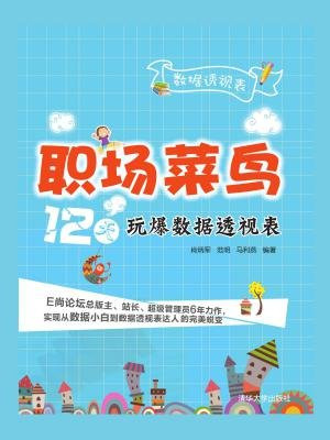 职场菜鸟12天玩爆数据透视表