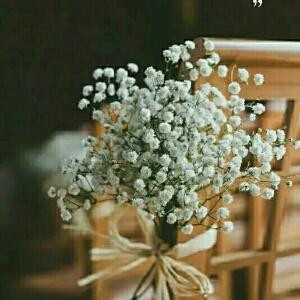 青芒