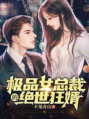 冷艳总裁的极品狂婿