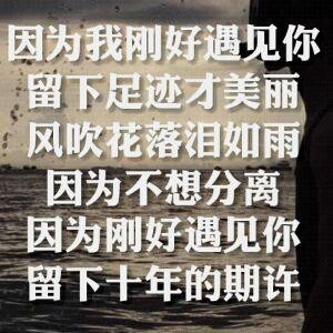 暗影、龙神