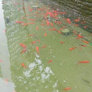 时光不老