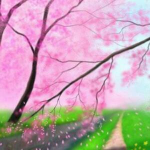 我为你痴狂