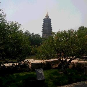 天天开心快乐