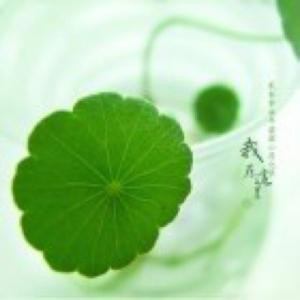 小浩儿