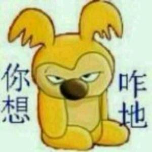 一半的一半