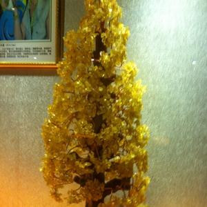 看破红尘不剃头