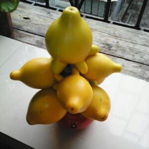 张大鸡
