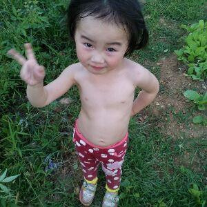 风之伤