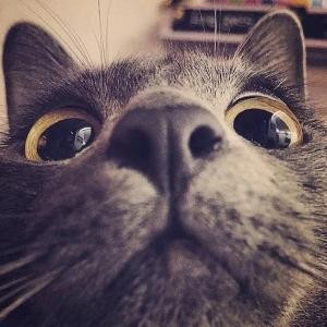 你家隔壁王蜀黍