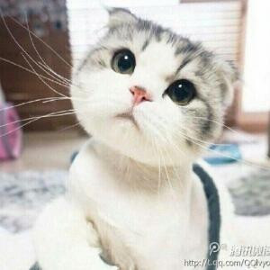 浅色微漾